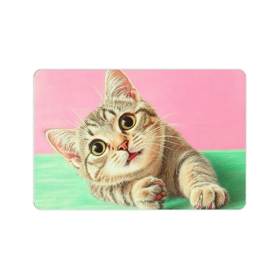 ZFLMY Cat Diatom Mud Mats Non-Slip Quick Drying Home Rug 24x16in