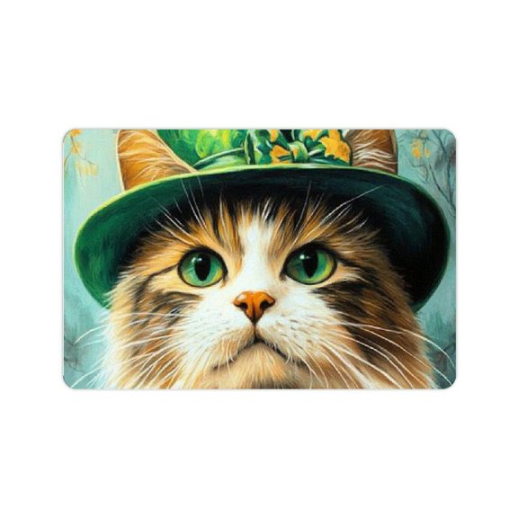 ZFLMY Cute Cat Diatom Mud Bath Mat Quick Drying Home Decor 24x16in