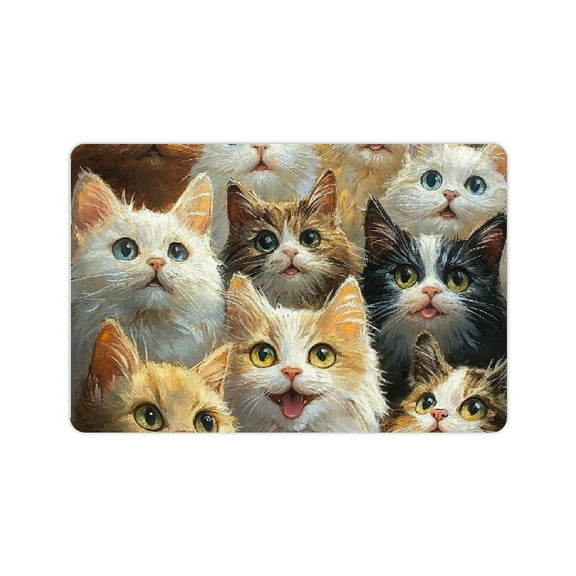 ZFLMY Cute Cat Diatom Mud Mats Non-Slip Fast Absorption Home Rug 24x16in