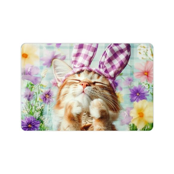 ZFLMY Cute Cat Diatom Mud Mats Non-Slip Quick Drying Home Decor 24x16in