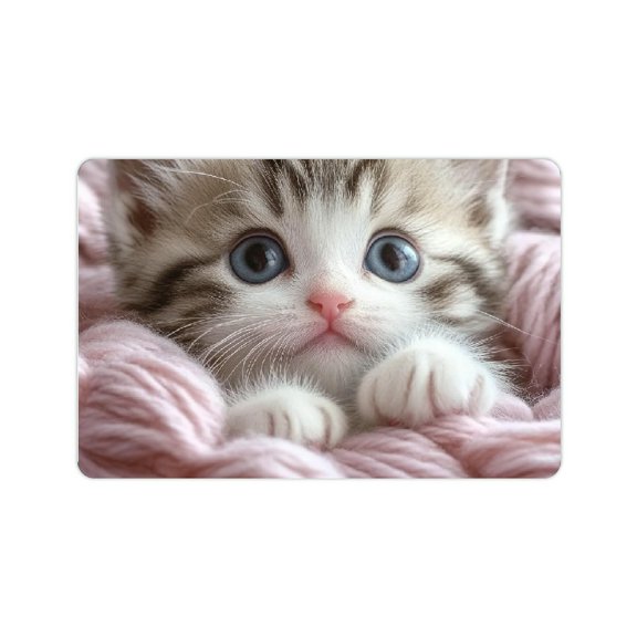 ZFLMY Cute Cat Diatom Mud Mats Non-Slip Quick Drying Home Decor 24x16in