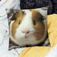 thumbnail image 1 of ZFLMY Decor Holiday Pillow Case Guinea Pig Blanket Wall for Home Sofa Couch Linen 100% - Set of 1 Pillow Covers 24x24in, 1 of 5