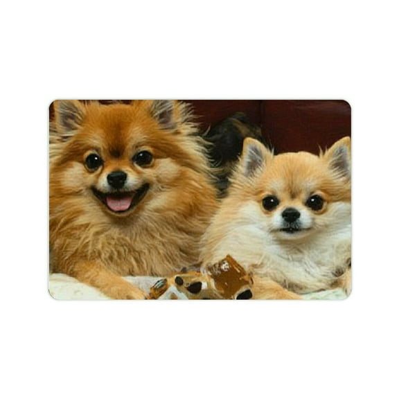 ZFLMY Dogs Diatom Mud Mats Non-Slip Quick Drying Home Rug 24x16in