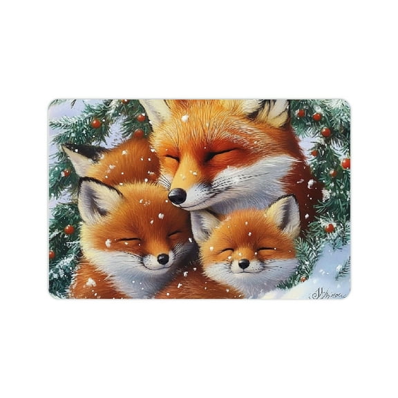 ZFLMY Fox Cubs Snow Diatom Mud Bath Mat Quick Drying & Absorbent Rubber Backing Easy Storage Super Absorption 24x16in