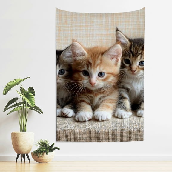 ZFLMY Kittens Couch Cute Tapestry Wall Hanging for Home Decoration 40*60in