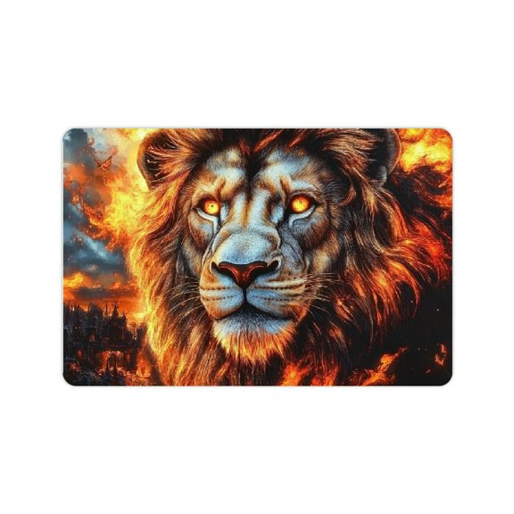 ZFLMY Lion Flame Fantasy Art Fast Absorption Home Rug Mat 24x16in