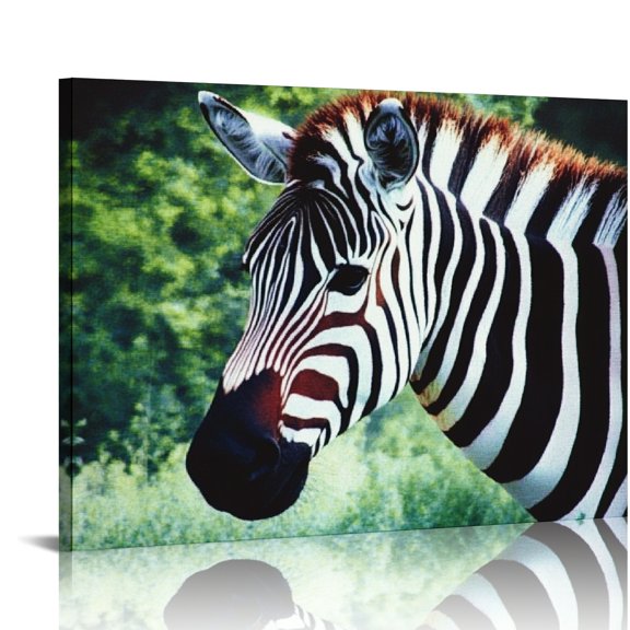 ZFLMY Zebra Grass Trees Art Modern Canvas Prints Wall Decor for Bedroom Kitchen, Ready To Hang Home Art Decor 16x12in