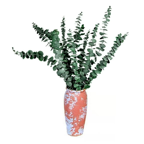 ZFSBZBS 10pc Eucalyptus Leaf Dried Flower Bouquet Natural Dried Branches Light Luxury Creative Decoration Ornament Ins Photo Props Style B