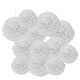 thumbnail image 1 of ZFSBZBS 12 Piece Set Ceiling Wall Hanging Flower Ball,White Tissue Paper Pom Poms Decoration for Wedding Birthday Party White, 1 of 4