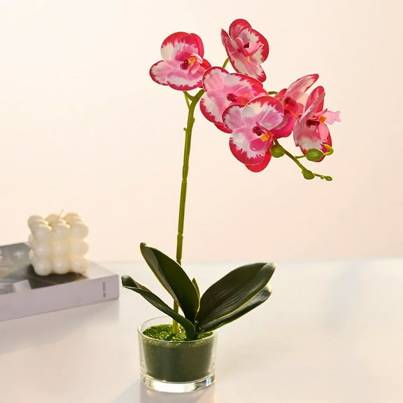ZFSBZBS 13in Artificial Orchid Flower in Pot, Silk Orchid Arrangement with Glass Vase,Silk Phalaenopsis Indoor Decor for Home Table Centerpiece C