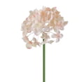 thumbnail image 1 of ZFSBZBS 1Pc Artificial Flowers Hydrangea with Long Stem, 11" Faux Hydrangeas Real Touch for Home, Office, Wedding Arrangements and Party Decor Gold, 1 of 9