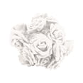 thumbnail image 1 of ZFSBZBS 1Pc LED Rose Flower String Lights Rose Lights for Home Room Bedroom Decor Operated Lights for Birthday Wedding,White,6-meter 40 light plug-in model, 1 of 9