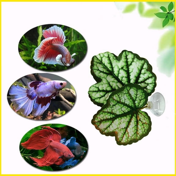 ZFSBZBS Betta Fish Leaf Artificial Aquarium Plants Fake Plants Betta Bed Leaf Hammock Beta Fish Leaf Bed Aquarium Purple Plant Leaf Hammock Suction Cup Fish Tank Betta,Green