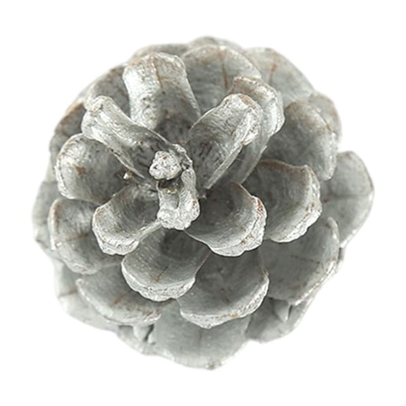 ZFSBZBS Christmas Pine Cones Natural Pinecones for Crafts,Mini Pine Cones- for Thanksgiving Holiday Party Christmas Tree Decor,Winter Vase Fillers