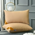 thumbnail image 1 of ZFYXGS Feather Velvet Hotel-grade Pillow Collection Bed Pillows Standard - Down Alternative Bedding Gel Cooling Pillow for Back, Stomach or Side Sleepers Made, 1 of 5