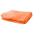 thumbnail image 1 of ZFYXGS Super Soft Warm Warm Fleece Blanket Throw Rug Sofa Bedding 39x55 inches Orange, 1 of 1