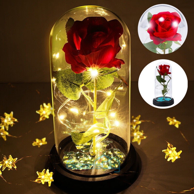 ZGBY Led Lighted Beauty And The Beast Enchanted Rose In Glass Dome