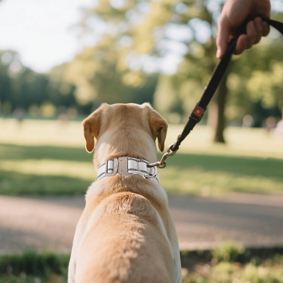 ZGTOYS Reflective Nylon Dog Collars Reinforced Heavy Duty Pet Collar With Metal Quick Release Buckle Adjustable For Medium And Large Dogs(28 36cm)1pc