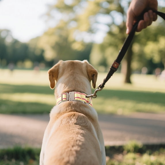 ZGTOYS Reflective Nylon Dog Collars Reinforced Heavy Duty Pet Collar With Metal Quick Release Buckle Adjustable For Medium And Large Dogs(28 36cm)1pc