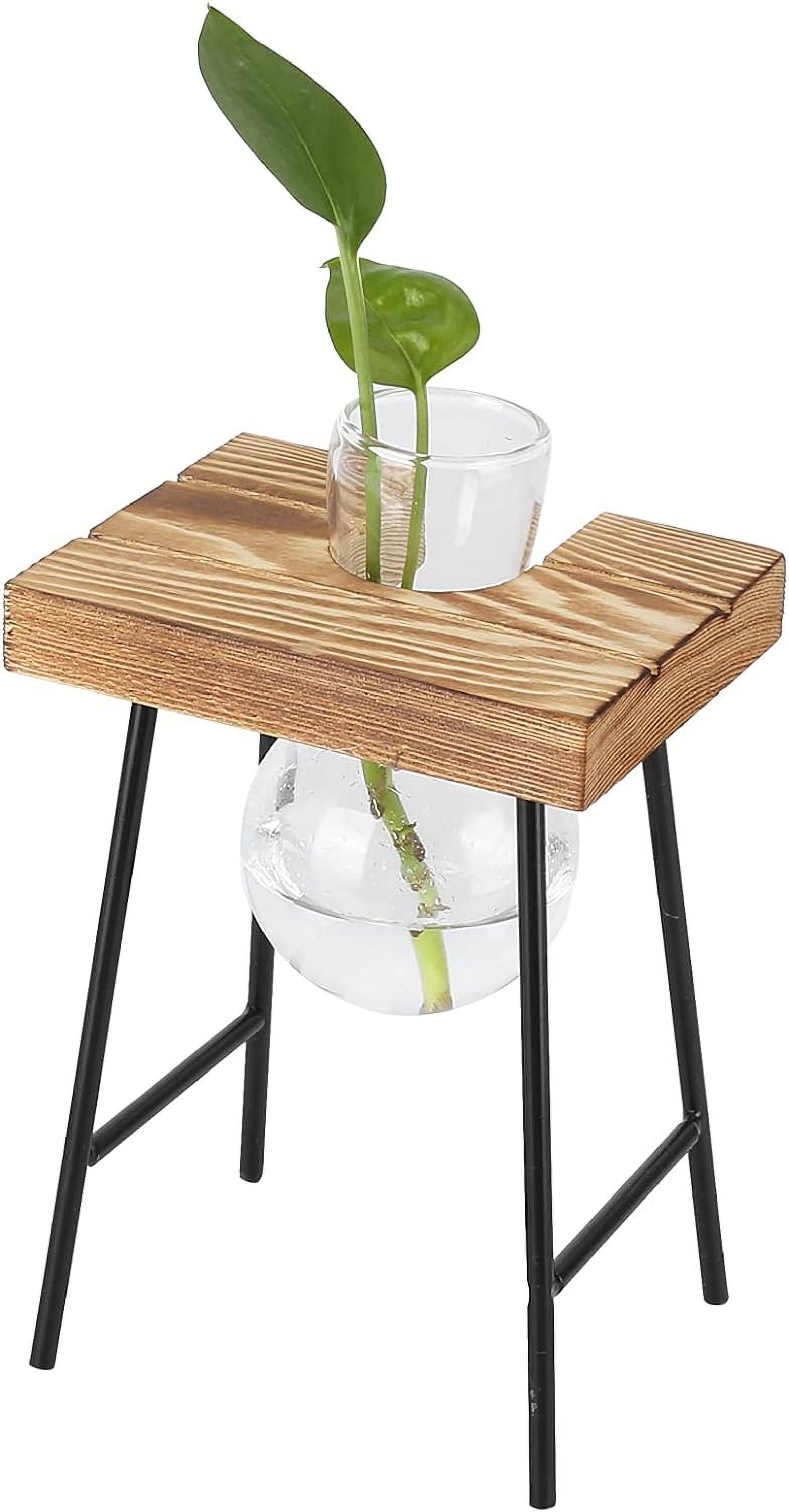 ValueHall Vaso A Bulbo In Vetro Per Idroponica Con Supporto In Legno E Girevole In Metallo – Decorazione Da Tavolo