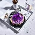 thumbnail image 1 of ZHANQUNE Preserved Real Rose with LED Light in Glass Dome, Eternal Flowers Gift for Mom Wife Grandma, Mothers Day Birthday Valentines Christmas, Lasts 3-5 Years, Gift Box, 1 of 6
