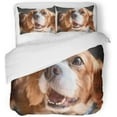 thumbnail image 1 of ZHANZZK 3 Piece Bedding Set Brown Happy Cavalier King Charles Spaniel Adorable Bandana Beautiful Breed Twin Size Duvet Cover with 2 Pillowcase for Home Bedding Room Decoration, 1 of 1