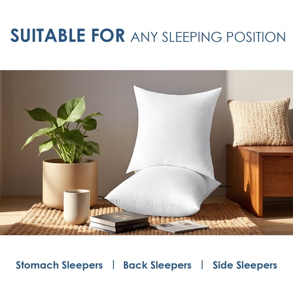 ZHICHUN 2Pcs 20 Inch Square Throw Pillow Inserts, Soft Polyester Filling Decorative Cushion for Sofa Bed
