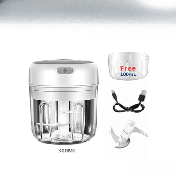 ZHICHUN 300ML Electric Garlic Press Chopper Mini Blender for Chili Onion Fruits and Meat Mincing Mixing