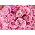 thumbnail image 1 of ZHISUXI Valentine's Day Photography Backdrops Props Lover Rose Flower Wall Wedding Store Cherry blossoms Background AL-16, 1 of 6