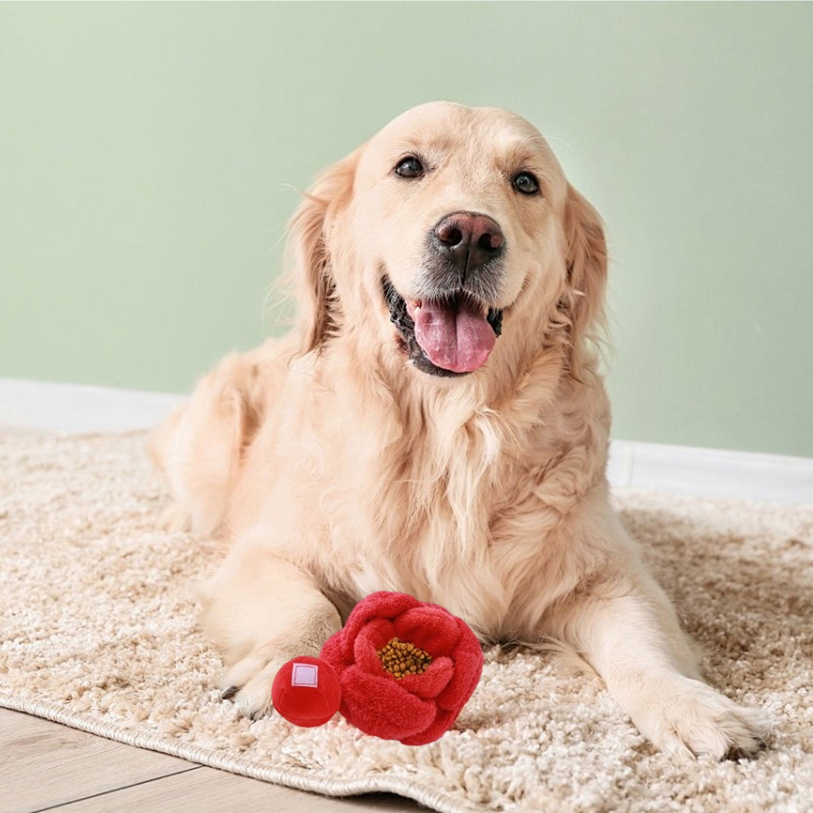 ZHIYA Durable Dog Chew Toys for Aggressive Chewers Interactive Puppy ...