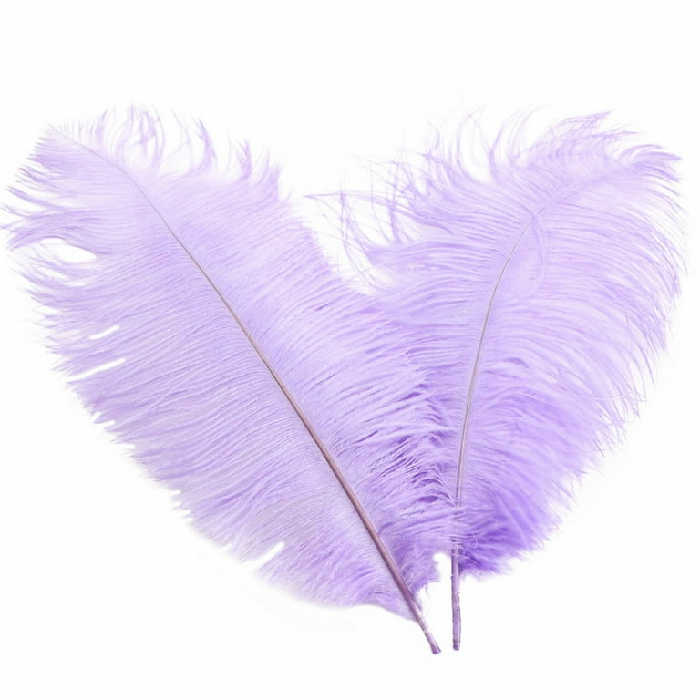 Feathers for decorations for sale sale