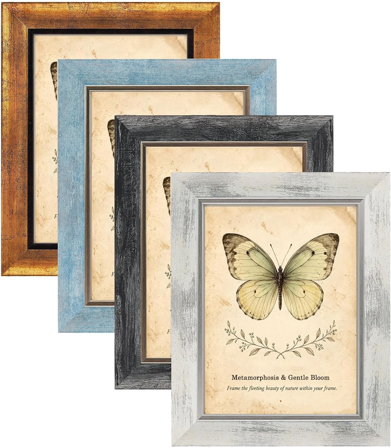 Coloured Frame Cover ZHLLL 6x8 Picture Frames Set of 4,Rustic Retro Photo Frame(Multicolor ...