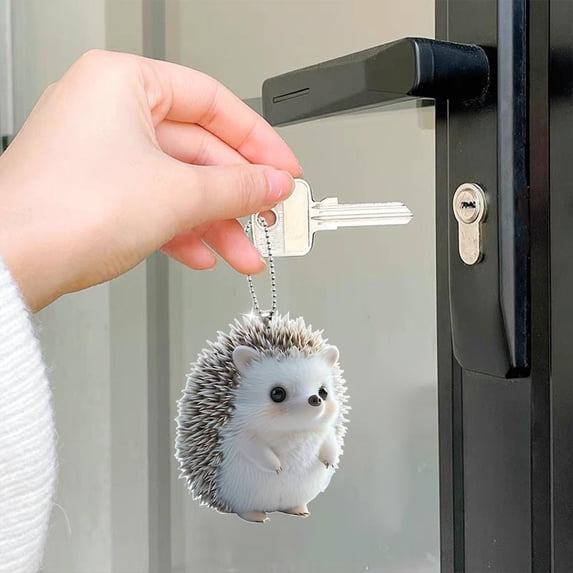 ZHMRFG Cute Hedgehog Acrylic Hanging Decor, Adorable Flat Printed Versatile Pendant Accessory, Keychain Car Backpack Party Favors Decor for Gift Giving Daily Use Birthday Gatherings