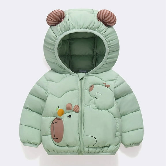 ZHOGXU Big Girls Boys Hooded Jacket Long Sleeve Zip Up Cartoon Print Plush Warm Lightweight Comfortable Coat For Fall Winter Daily Wear Light Green 2-3 Years