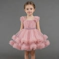 thumbnail image 1 of ZHOGXU Big Kids Girls Dress Sleeveless Suspenders Solid Color Mesh Comfortable Stylish Tutu Dresses For Party And Performance Light Pink 18-24 Months, 1 of 6