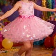 thumbnail image 1 of ZHOGXU Big Kids Girls Skirt Elastic Waist Butterfly Print Mesh Comfortable Stylish Tutu Skirts For Carnival Party And Daily Wear Pink One Size, 1 of 4