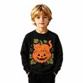 thumbnail image 1 of ZHOGXU Toddler Boys Girls Halloween Pullover Pumpkin Black Cat Print Crewneck Sweatshirts Kids Outerwear Tops School Wear,Black,3-4 Years, 1 of 5