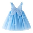 thumbnail image 1 of ZHOGXU Toddler Girls Sleeveless Butterfly Tulle Suspenders Dress Dance Party Princess Dresses Clothes，Blue，3-4 Years, 1 of 6