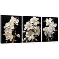thumbnail image 1 of ZHONGYUTONG 3 Piece Orchid Wall Art White Gold Flower Canvas Floral Blossom Pictures Lily Painting for Living Room Decor Framed (11.00" x 14.00" x 3PCS), 1 of 5