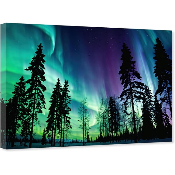 ZHONGYUTONG Aurora Canvas Wall Art Borealis Snow Mountain Picture Print Northern Lights Lake Forest Painting for Bedroom Decor Framed (12.00" x 18.00")