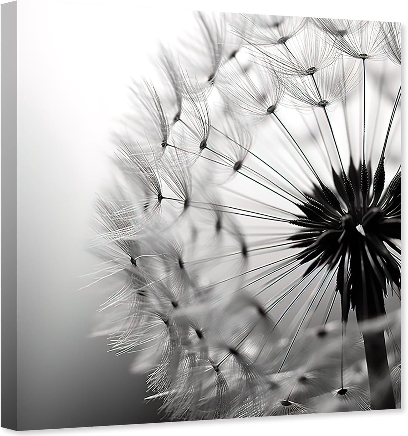 ZHONGYUTONG Dandelion Canvas Wall Art Black White Flower Painting Floral Closeup Picture Print for Living Room Decor Framed (12.00" x 12.00")