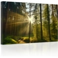 thumbnail image 1 of ZHONGYUTONG Green Forest Canvas Wall Art Sunshine Through Forest Road Picture Prints Morning Sunrise Paintings Nature Landscape Wall Decor Framed (16.00" x 24.00"), 1 of 6