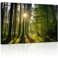 thumbnail image 1 of ZHONGYUTONG Green Forest Canvas Wall Art Sunshine Through Forest Road Picture Prints Morning Sunrise Paintings Nature Landscape Wall Decor Framed (24.00" x 36.00"), 1 of 6