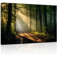 thumbnail image 1 of ZHONGYUTONG Green Forest Canvas Wall Art Sunshine Through Forest Road Picture Prints Morning Sunrise Paintings Nature Landscape Wall Decor Framed (24.00" x 36.00"), 1 of 6