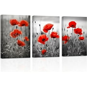 ZHONGYUTONG Red Poppies Canvas Wall Art 3 Piece Black White & Gray Poppy Flowers Picture Prints Elegant Rustic Artwork Bathroom Home Decor 11.00" x 14.00" x 3PCS