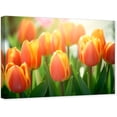 thumbnail image 1 of ZHONGYUTONG Tulip Wall Art Canvas Flower Pictures Wall Decor Elegant Floral Painting Print for Bathroom Living Room Decor Framed (12.00" x 18.00"), 1 of 5