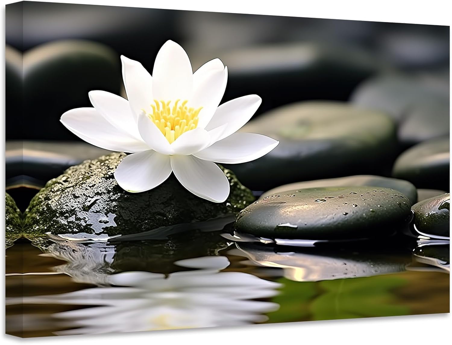 ZHONGYUTONG Zen Canvas Wall Art Stone Lotus Flower Picture Prints Water ...