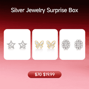 ZHOU LIU FU 925 Sterling Silver Stud Earrings Blind Box Dainty Mystery Jewelry for Women