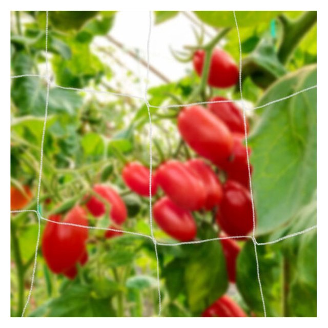 ZHOUJIA 5 x 750 ft Soft Mesh Trellis Netting Bulk Roll HeavyDuty