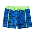 thumbnail image 1 of ZHUASHUM Toddler Kids Baby Boys Summer Print Shorts Quick Dry Beach Swimwear Swimming Trunks Clothes Blue,Size:9-10 Years, 1 of 7